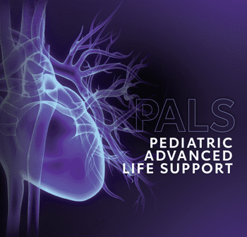 Pediatric Advanced Life Support (PALS) – Custom Schedule